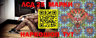 молекула духа Новокубанск