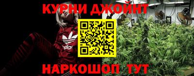 трава Новодвинск