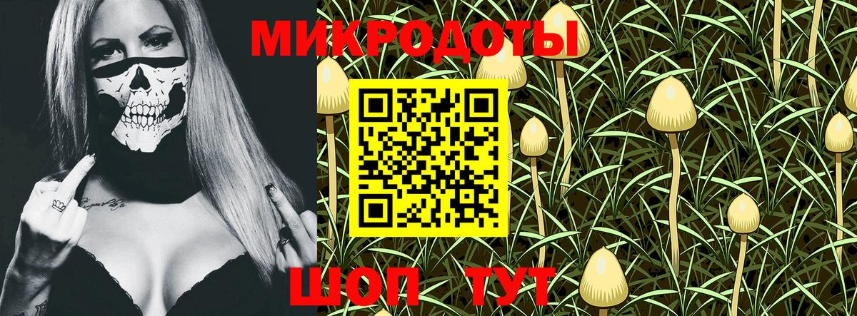 Псилоцибиновые грибы Cubensis Соликамск